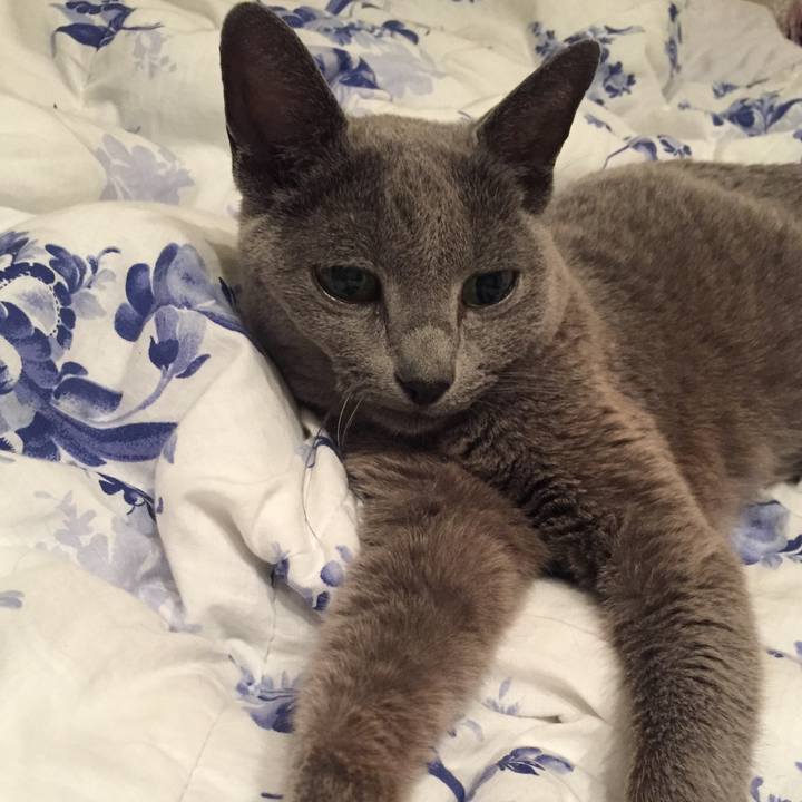 Fde3bb6e 4bbd 4619 9f09 4fd2b18318a4 1572908990776