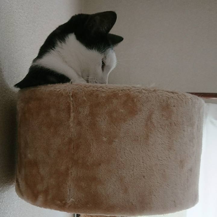 Fde3dd71 86f4 473a a25d 327bf6debde8 1536366059334