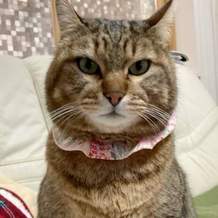 Fde3eb86 c17b 4368 8a17 ce76f4ce69e2 1770508578244