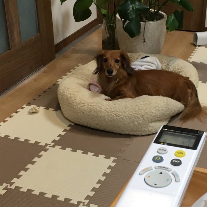 Fde4151c c107 4345 92a3 9626f4be7f0f 1557930167725