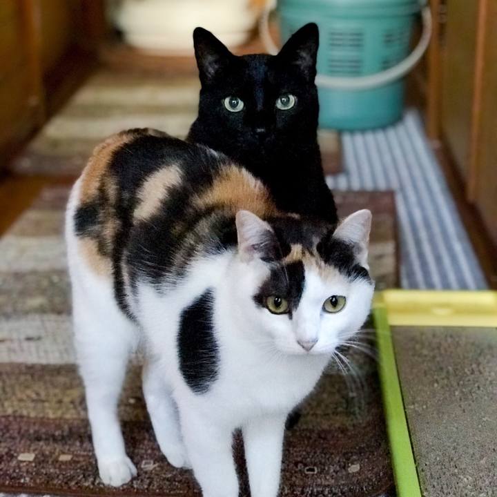 Fde4398f 646c 4dd6 9673 d5f3760fde58 1510062957416