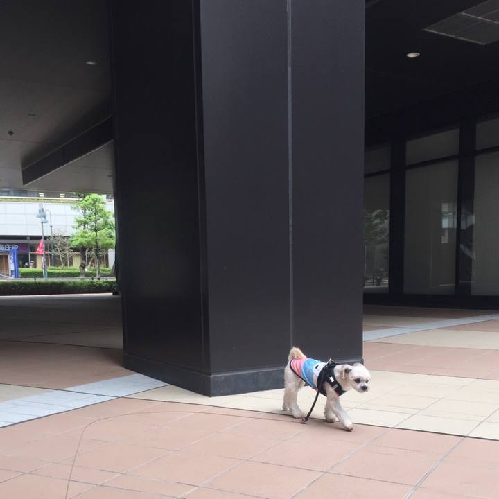 Fde44d52 60b3 4146 be7c f64d7e126223 1537755236885