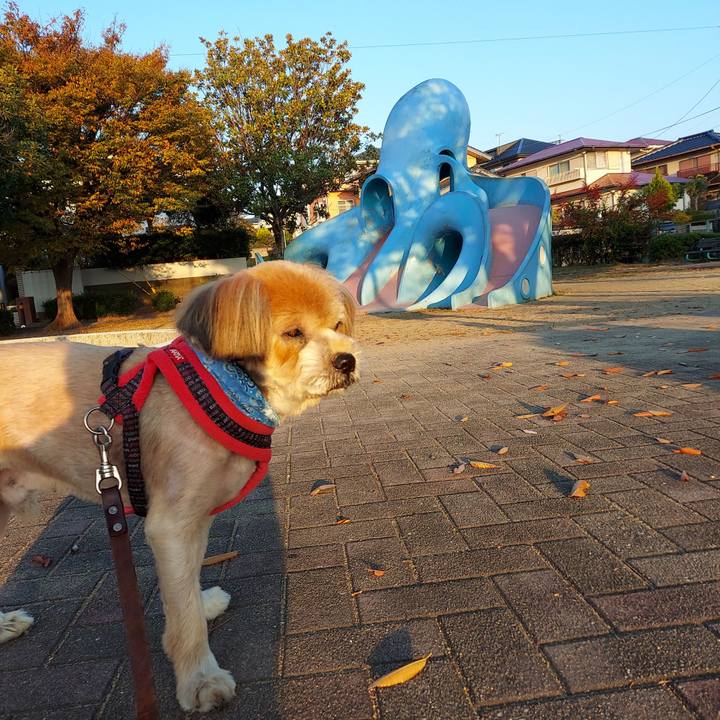 Fde471fa 5fac 469a 875d 05dbf47cef25 1667862714342