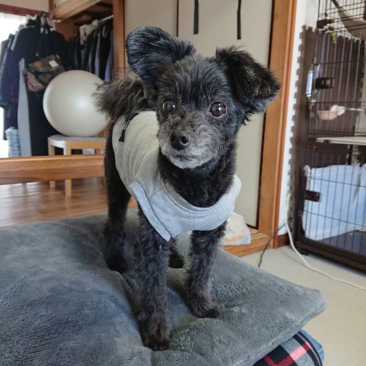 Fde48ebf deef 4e26 aa2b b8c76243c925 1606788524062