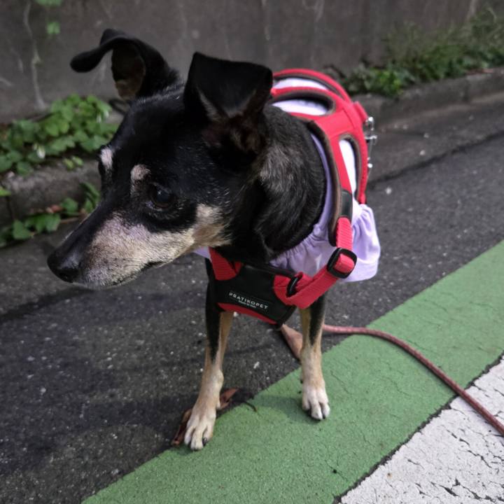 Fde49084 4a75 4113 8634 701c48877f92 1757364077082