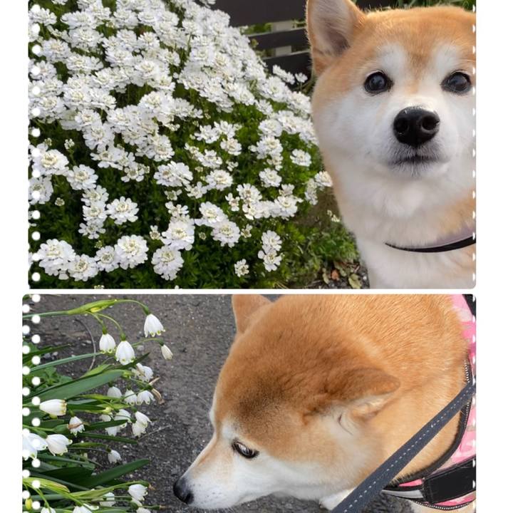 Fde49551 a62a 4c6d bffb fd587ef7a21d 1649255754777