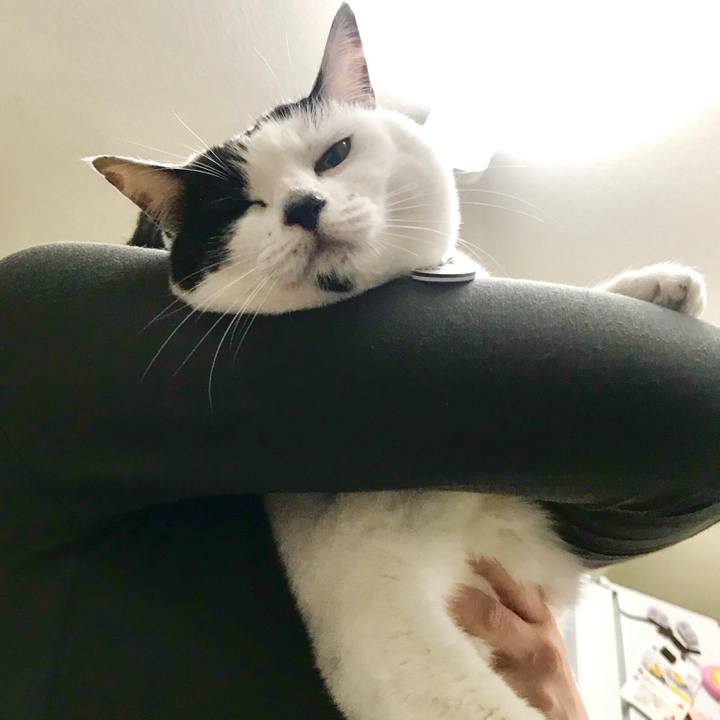 Fde49756 809d 4d0a a464 33136459a118 1549538386418