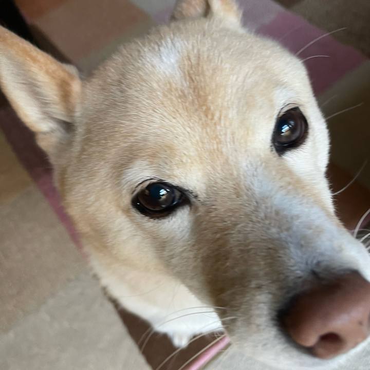 Fde4a444 8cb0 4935 94c5 5a0d215fe509 1701646177171