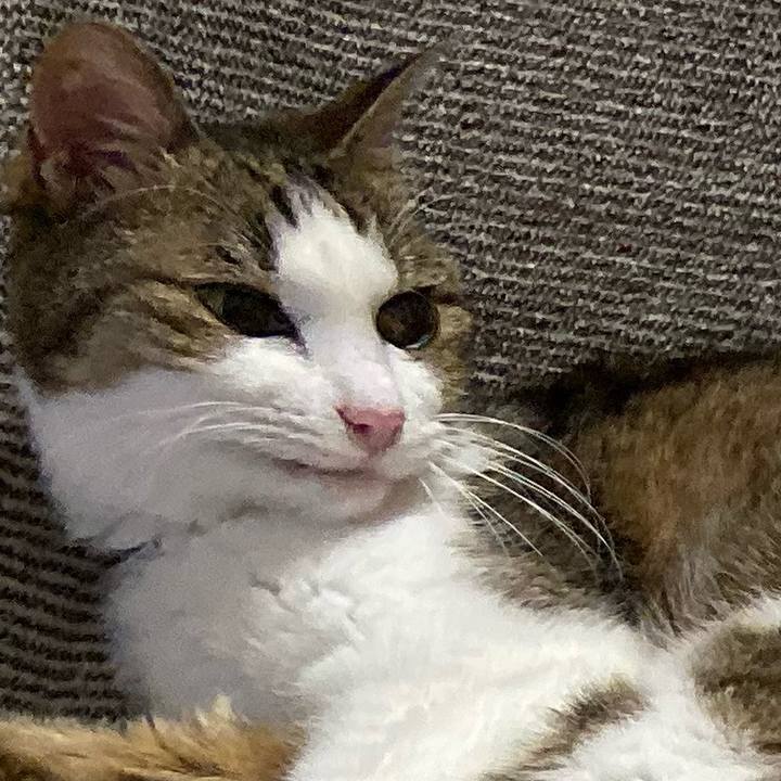 Fde4aaa6 1047 4672 95d2 6e0eb1819084 1575460835315