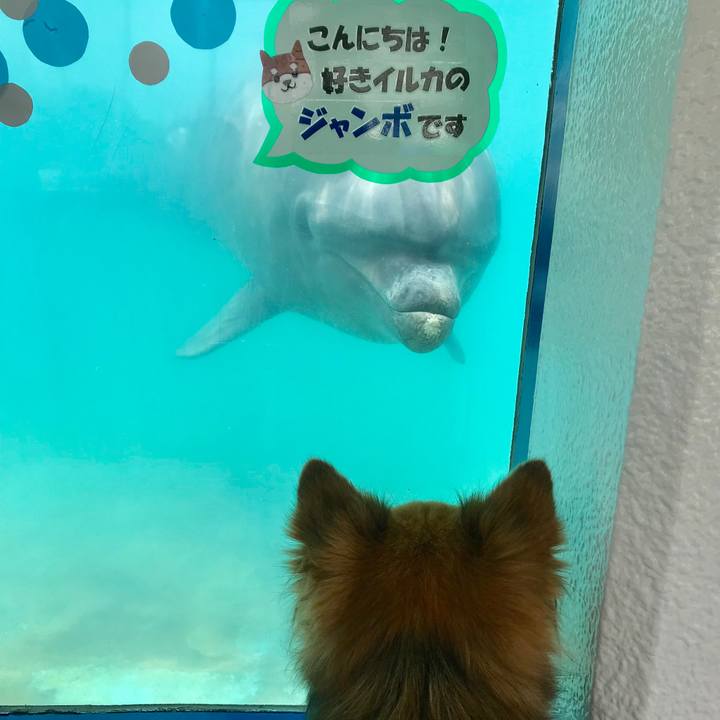 Fde4d410 3087 4568 8cc0 7440cb0ba28a 1530683841033