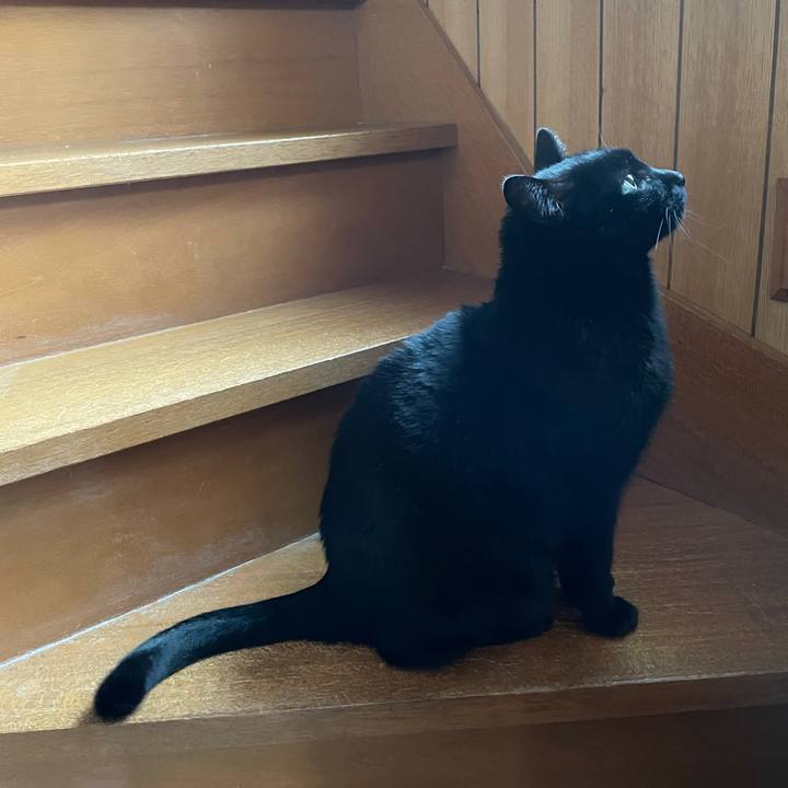 Fde4ed68 10d1 4ee5 af43 3529f7e49d25 1614302551813