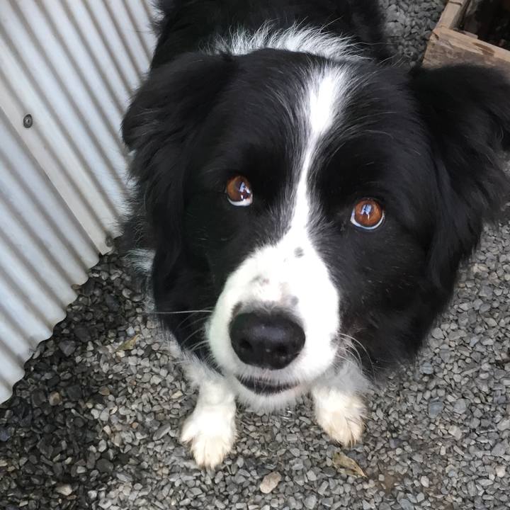 Fde52644 abf2 443a 8bc2 b79766b2d0d9 1583449787385