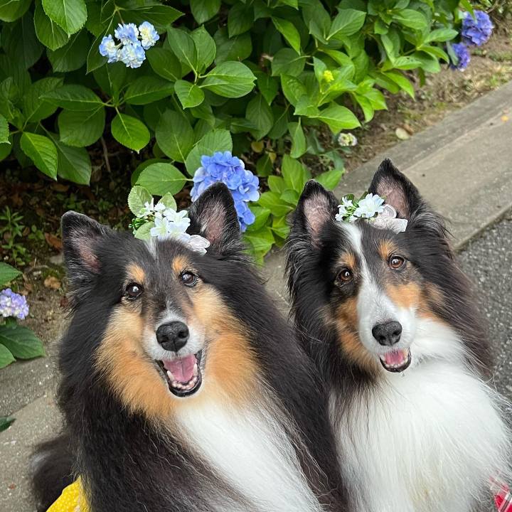 Fde52d55 31d5 4f37 ac46 01921fdcc7d1 1656867528934