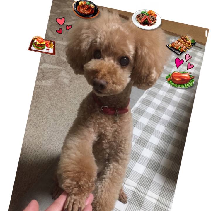 Fde559f3 ce0f 4a05 8418 8dc0bde90673 1527764160673