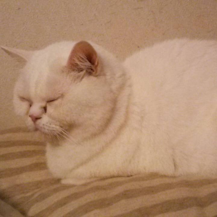 Fde55f03 83ab 4b8e 9279 a4b9b8540bfb 1541202449850