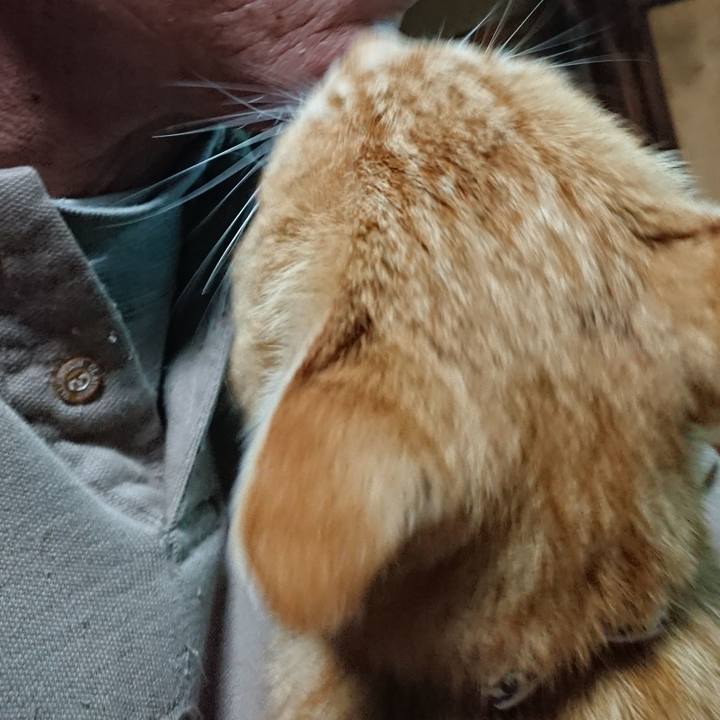 Fde571dd 783d 4de3 9124 0f03fc709a3c 1587033947548