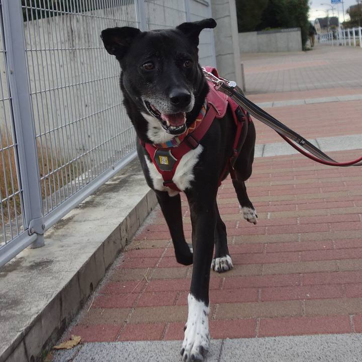 Fde584ce 5a50 4fb5 9801 803b0da421d0 1699843377945