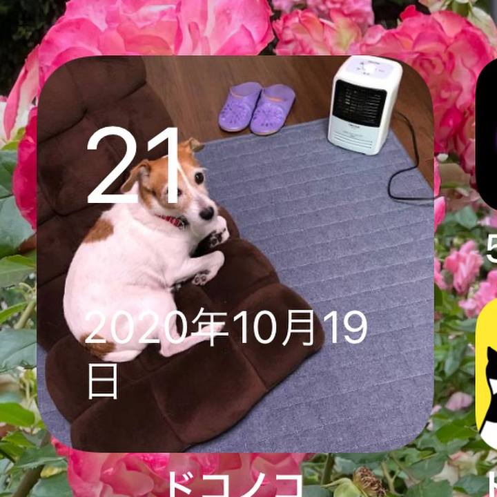 Fde58989 07c5 475d 8948 e6ce4c84301e 1634801514631