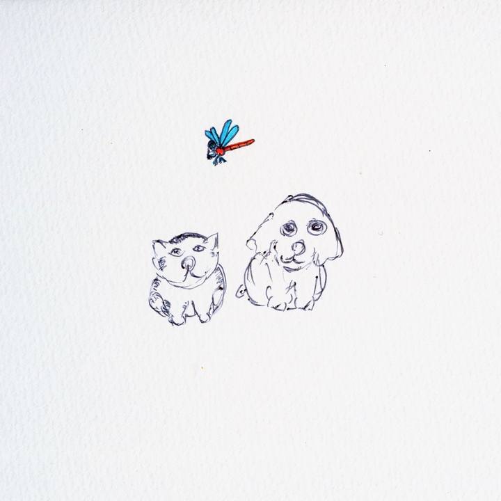 Fde5ad60 d27a 4fdb 92ef 13bda868c913 1601644417684