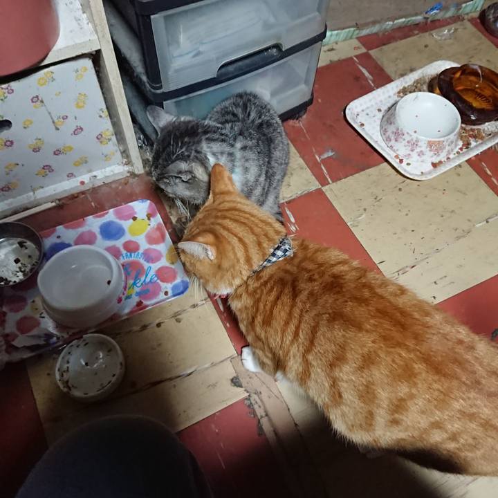 Fde5e60f c5d4 4f15 9041 66cb418343f0 1572551802193