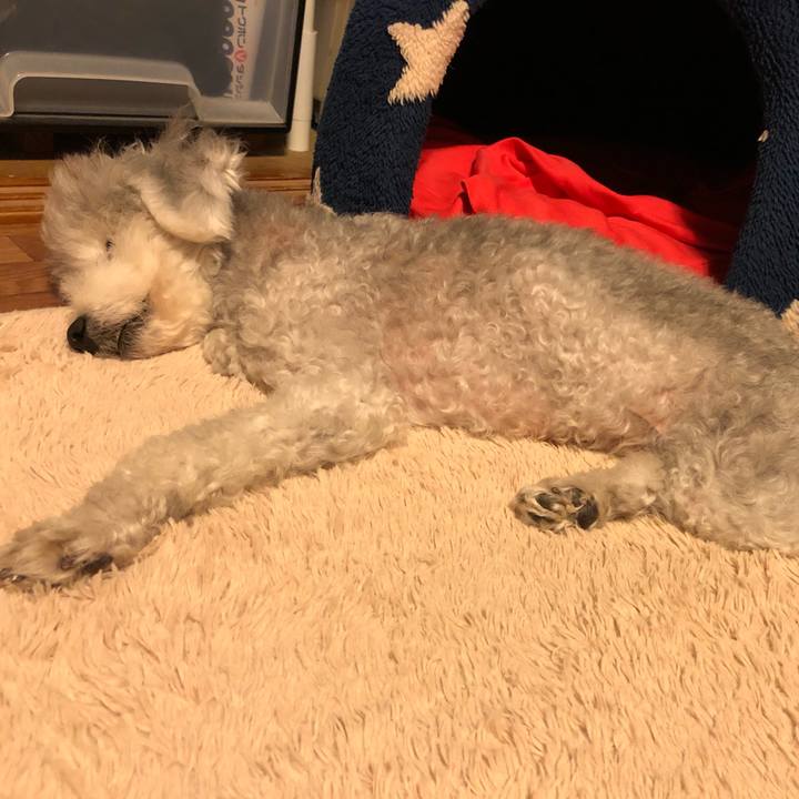 Fde5f803 13ef 42c9 bb44 f50f2aeefc9e 1624746854781