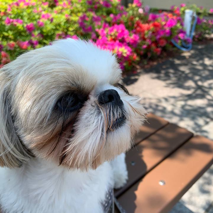 Fde60b9a 60eb 4a74 b794 93ec6aaae4ee 1588131444924