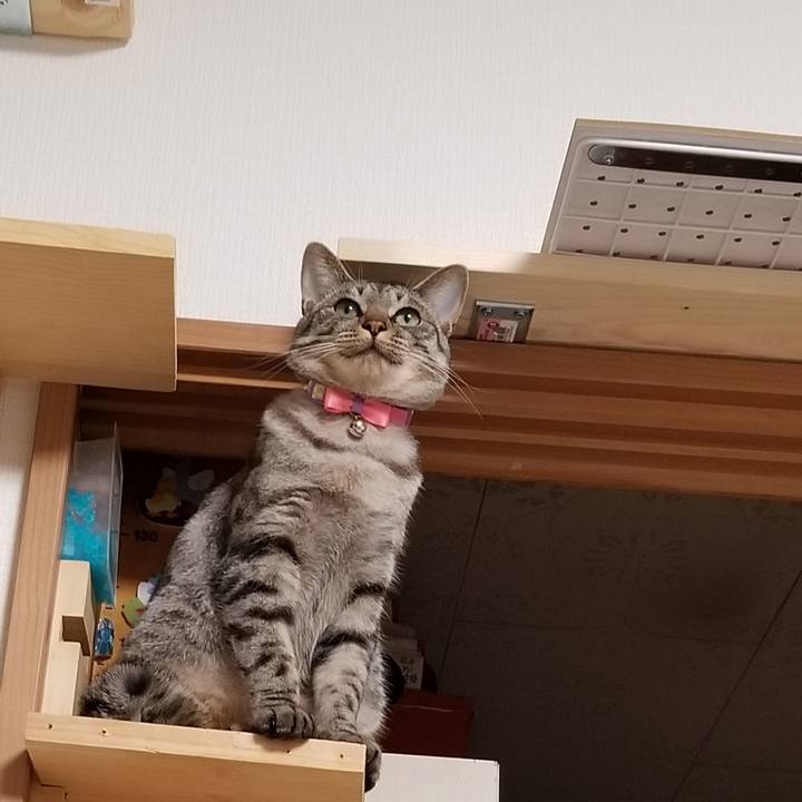 Fde61120 3287 405e a00a 79bb8f073c72 1681827362020