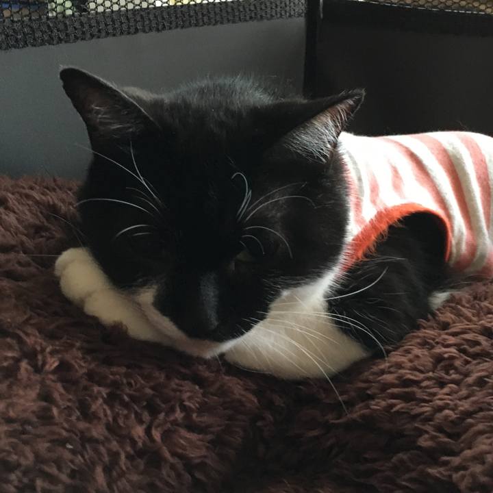 Fde62105 46d0 4a41 bc66 aa5134cae501 1597237833072