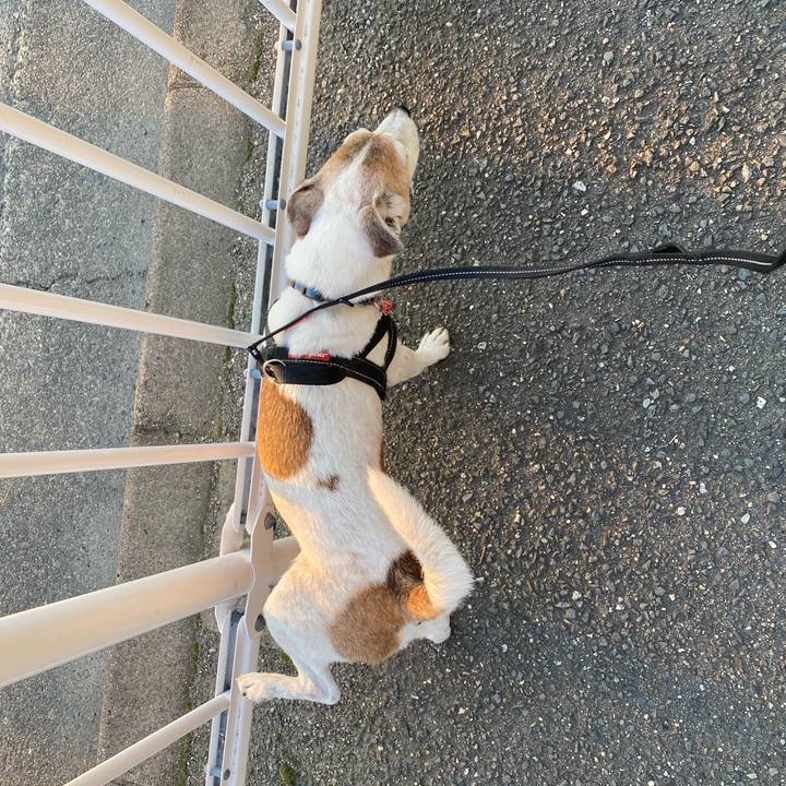 Fde6275b 3fa7 4361 868d a0aa3c8fc5b4 1623231197338