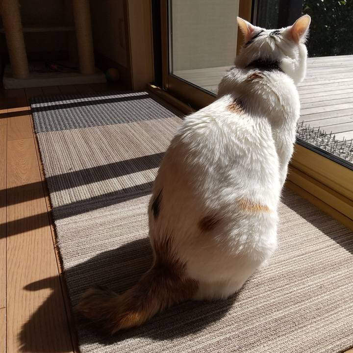 Fde627f6 65b8 4edb 883c 53b80e2a43b8 1583031456799