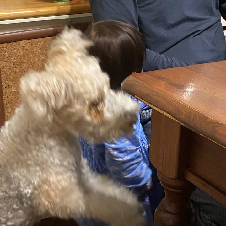 Fde63539 2d26 43e5 9378 fdc67270c280 1590283164835