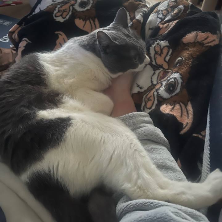 Fde6504e b3a8 41cb b5af d4ef4a564219 1739017267437