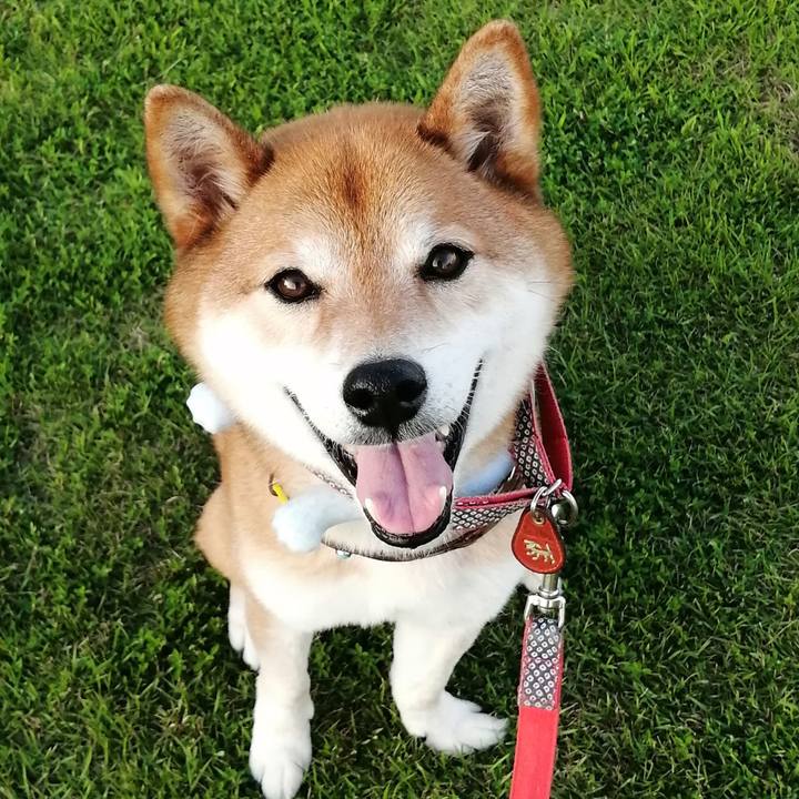 Fde65355 ff05 46d2 aaba 3758a24091a3 1656061020644