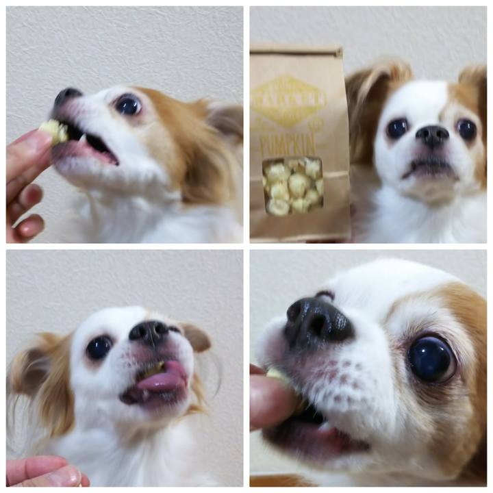 Fde6a2f8 574c 4545 baf0 04ff7fe50bc8 1548760182188