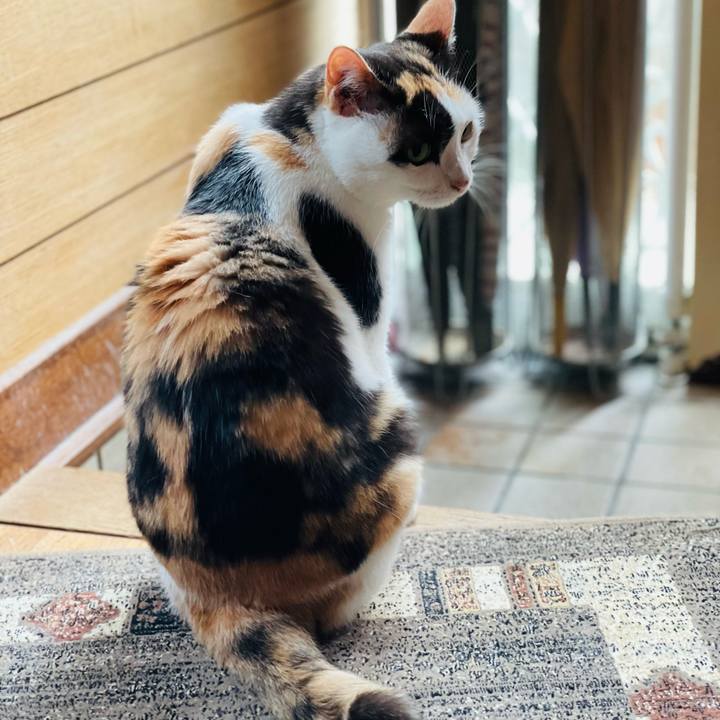 Fde6a87f 9f09 44bf 8ed0 cb5fe62faed9 1658627007910