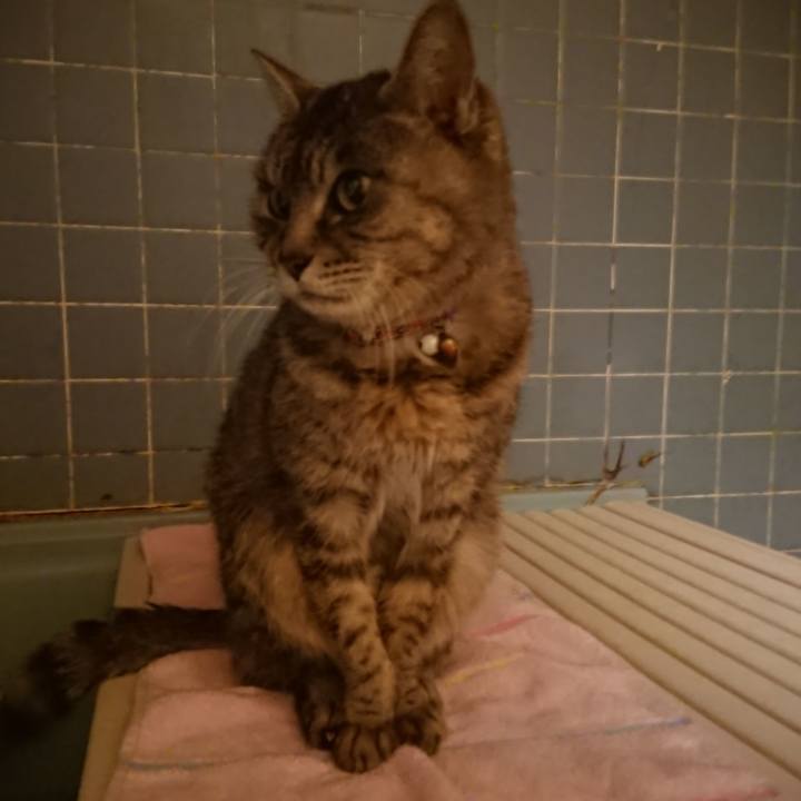 Fde6c255 57fe 400e b8a7 b8511a4f2266 1580808348174