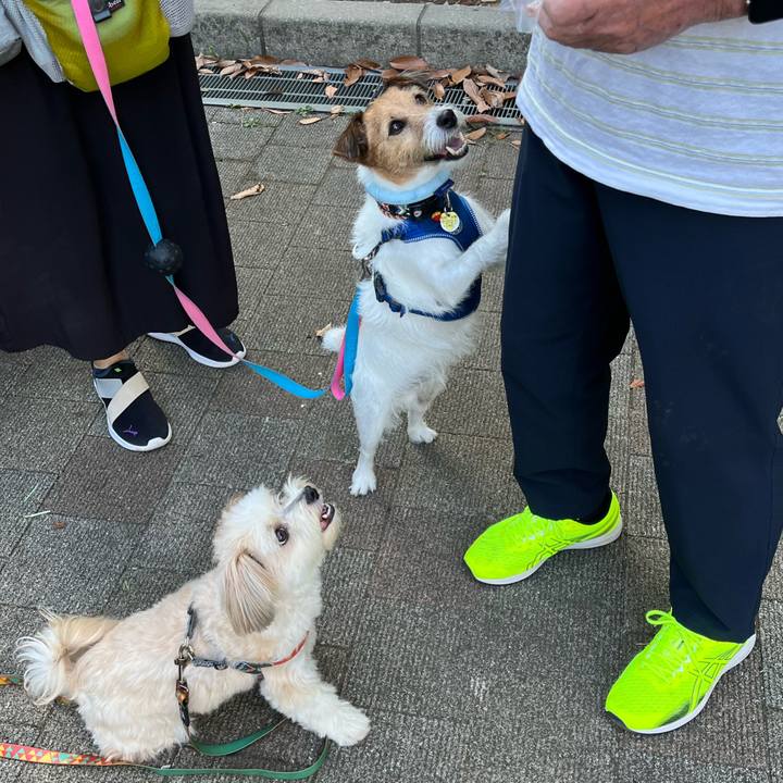 Fde6dd18 68c9 494c b093 b3acaa97c27d 1757489547336