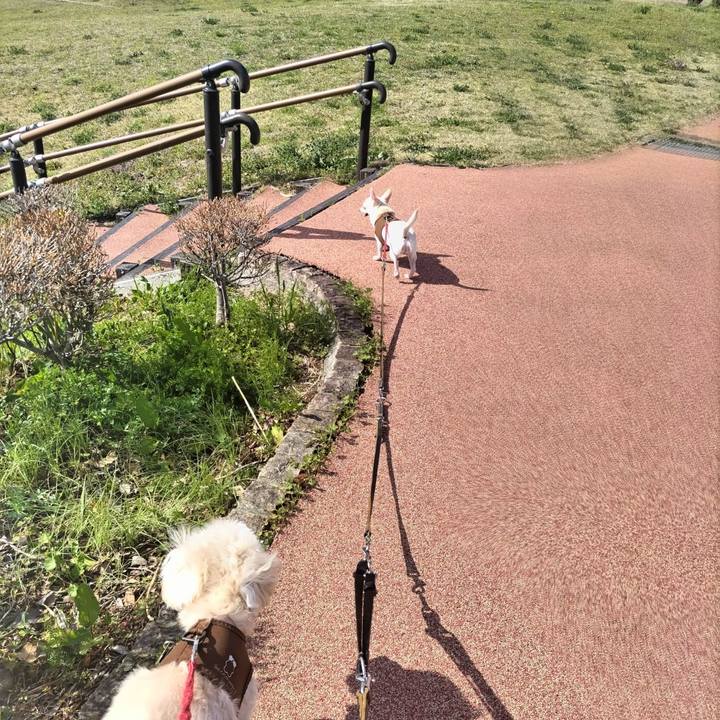 Fde70dd8 d9bf 4f6d 8bf0 734ed3b3de4d 1711882652432