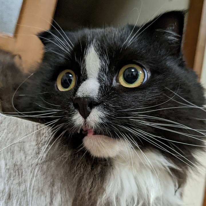 Fde71257 0a80 4e24 ad52 594ecbc59fb5 1668869124317