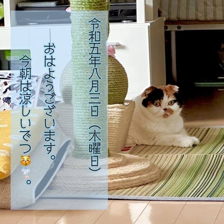 Fde72d0f 388d 4a0b aa45 47b84f8e72ca 1691018241452