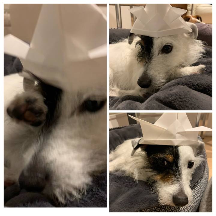 Fde7a401 ee58 4bc0 b3f2 f63c6343e1bc 1620216001652