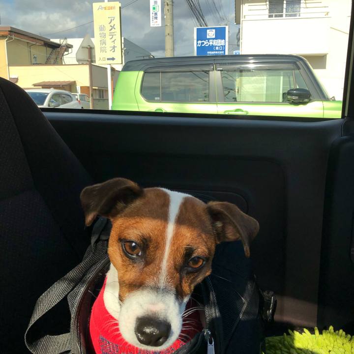 Fde7a78a ad9b 4125 aa83 0a50241546c9 1575074485378