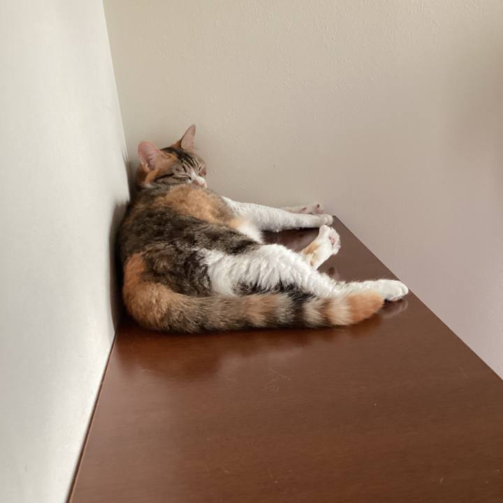 Fde7c0a1 4428 42cd 8e62 ce81507d2c55 1657104864888