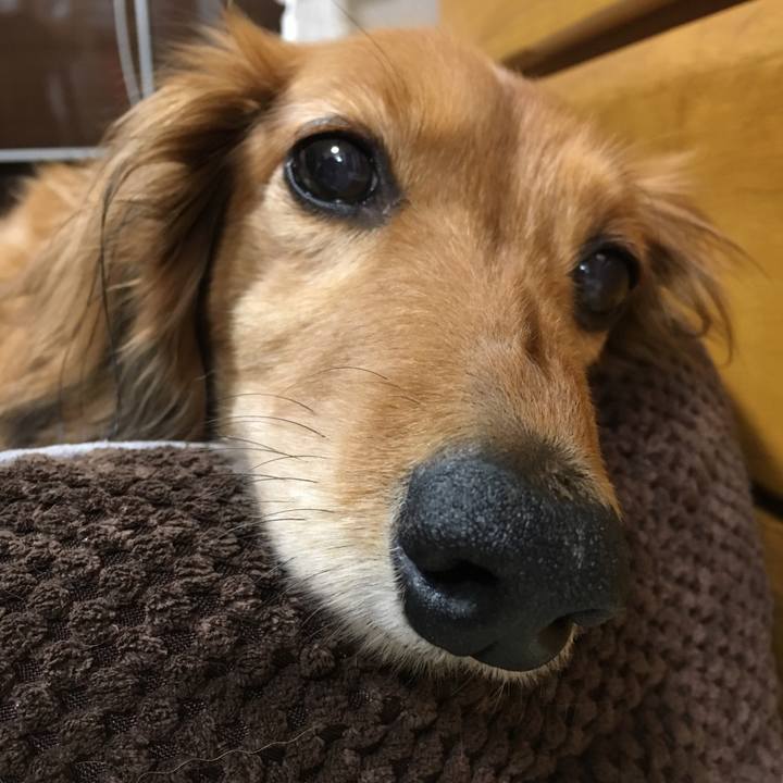 Fde7e870 1634 4afe b20a 7bf09e5bcd4a 1526127492574