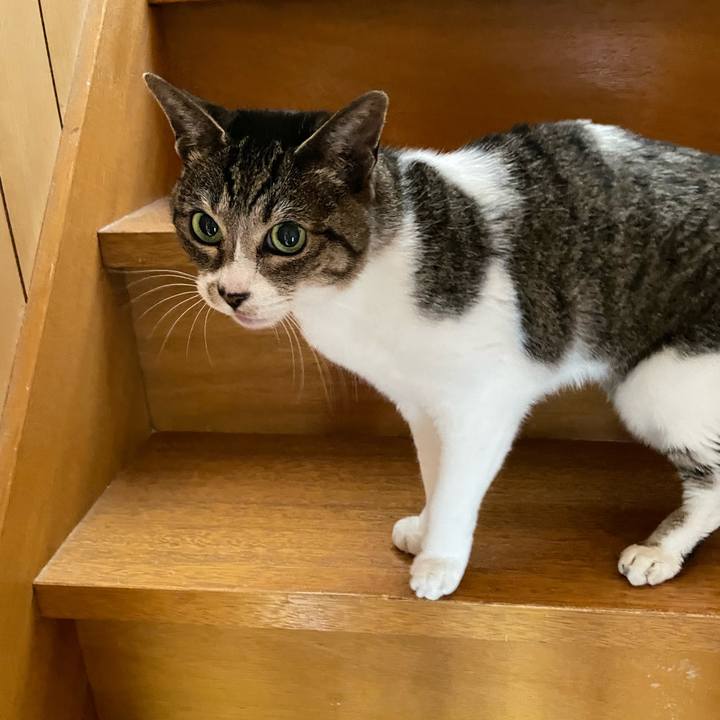 Fde8769c 09a5 449c 92e0 5b3fd2aec650 1648771822287