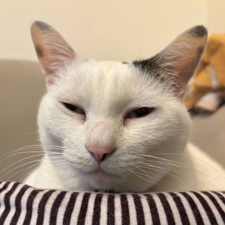 Fde8c12b 0ede 4b85 8063 c6100fcfad25 1770821315566