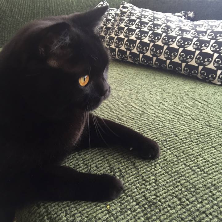 Fde8c476 e6fd 4d21 8402 4935ddb36ad5 1529360829441