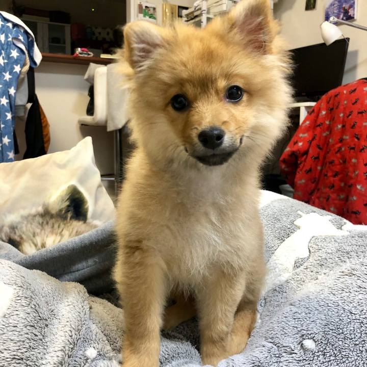 Fde900e8 803a 49b6 b570 1b81fc73b5e2 1577016613205