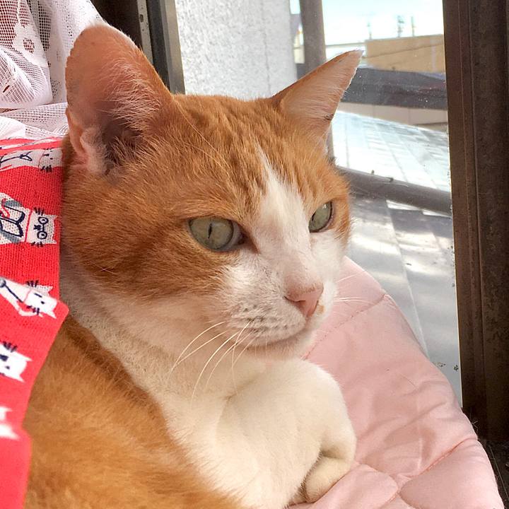 Fde9079b 52bc 4d34 a08d 0edd146985f1 1580871070514