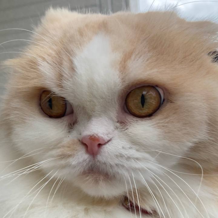 Fde90891 03aa 444f 9aae 1a7e0d82da81 1657977687813